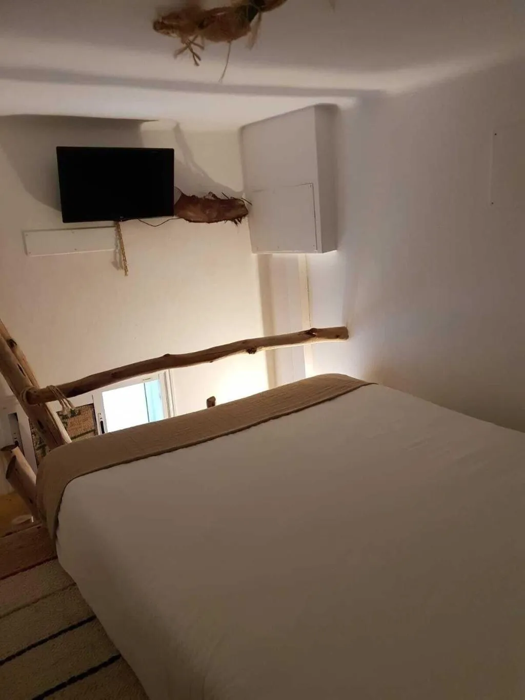 Room, Cactus Host, Gran Canaria