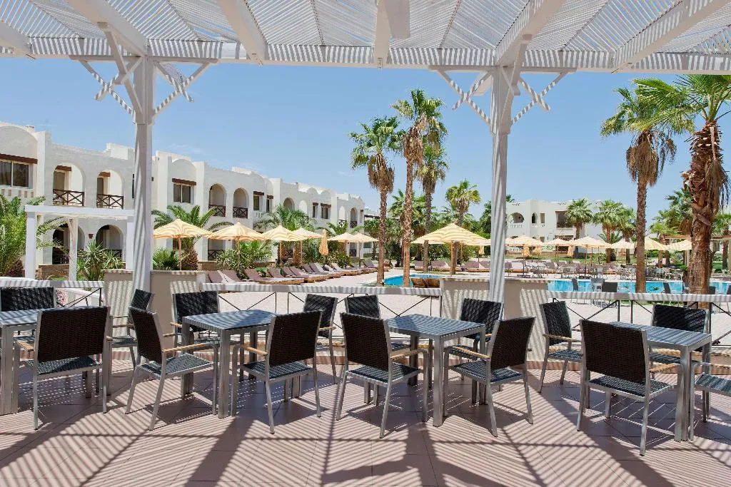 Restaurant, Amphoras Aqua, Red Sea Riviera