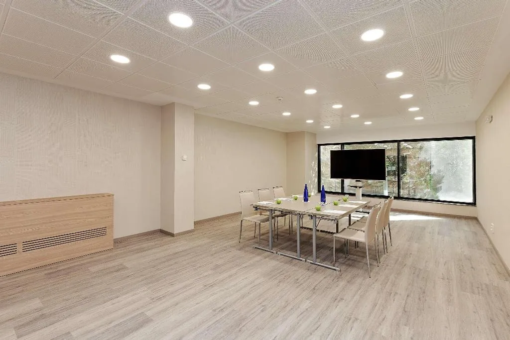 Conferences, Melia Avenida America, Madrid