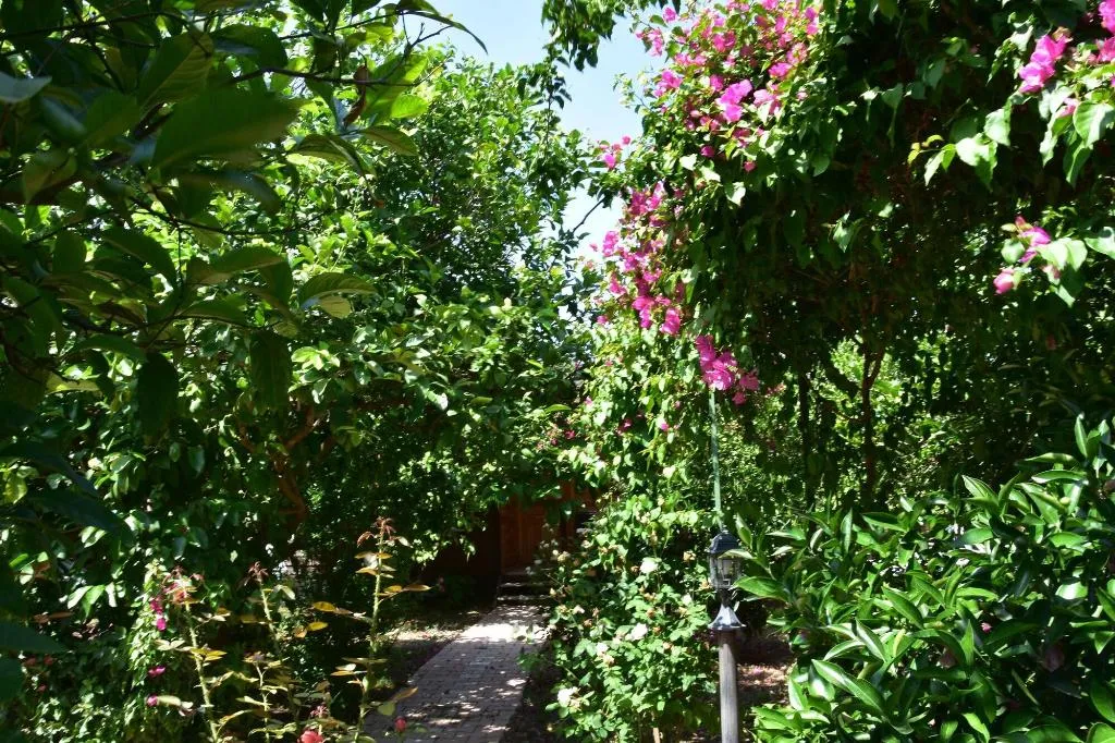 General view, Lemon Garden Lodge, Antalya