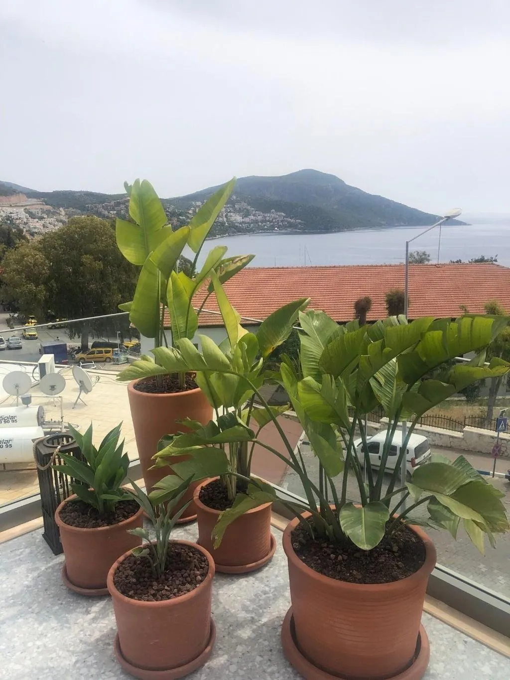 Room, Samira Exclusive Hotel & Apartments, Dalaman