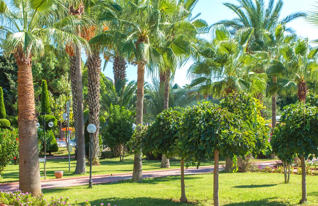 General view, Lonicera Resort, Antalya