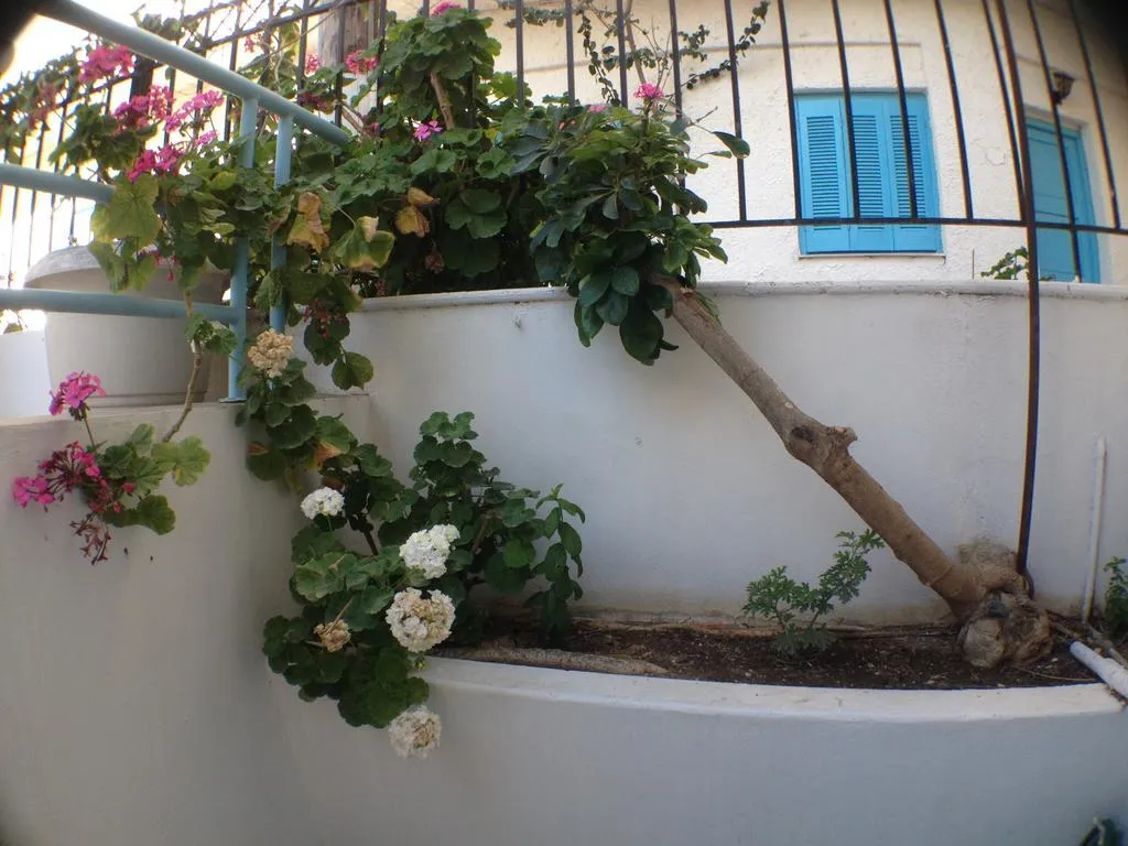 STUDIO ECONOMY Room, Renia Studios, Crete