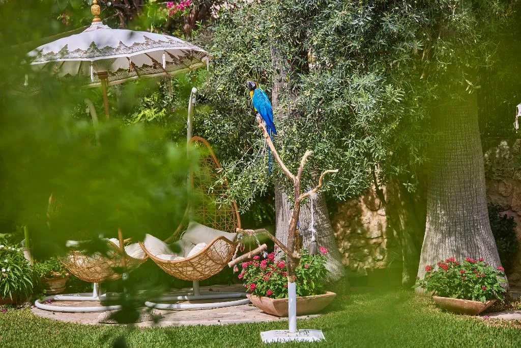 Terrace, Son Sant Jordi Boutique House, Majorca