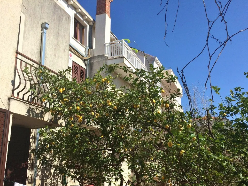 General view, Apartments Ivanka, Dubrovnik