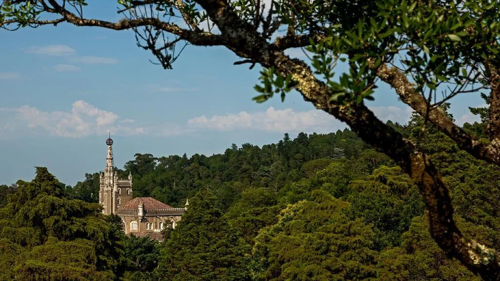 General view, Palace Hotel Bussaco, Porto