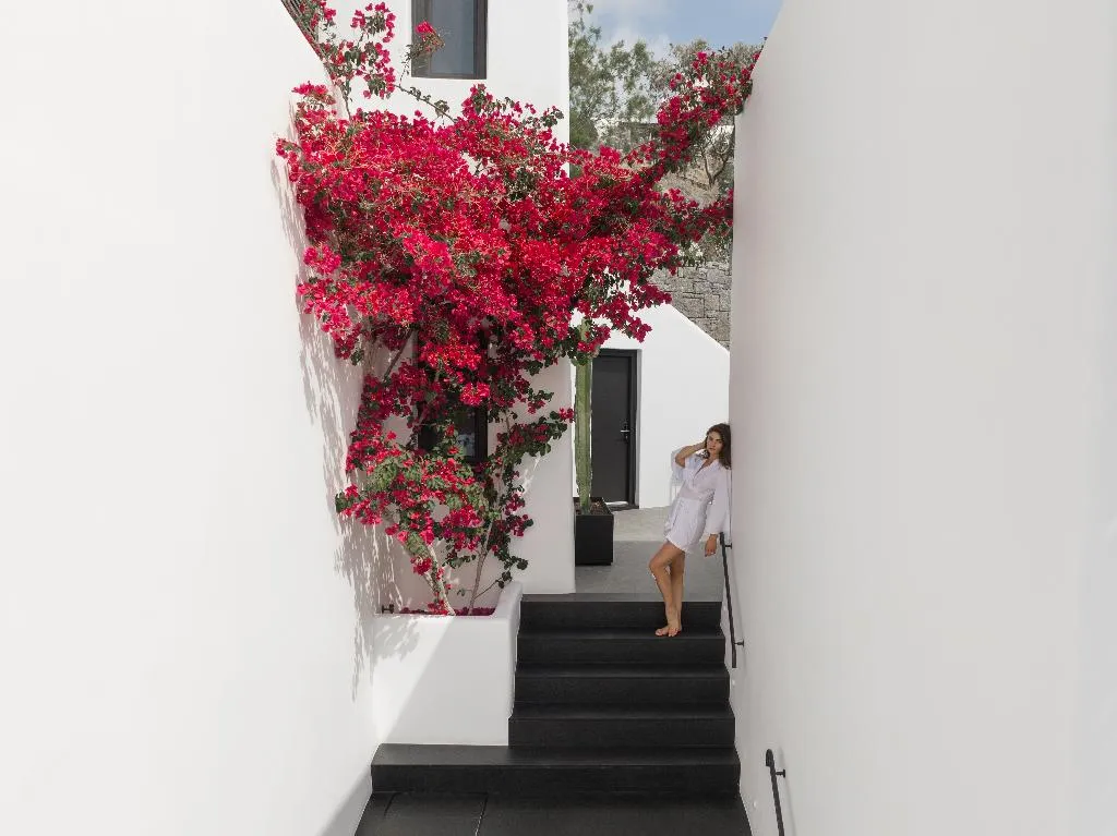General view, Noima Boutique Hotel Mykonos, Mykonos