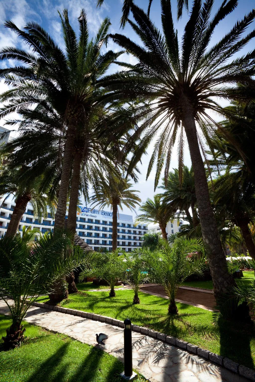 Terrace, Seaside Palm Beach, Gran Canaria