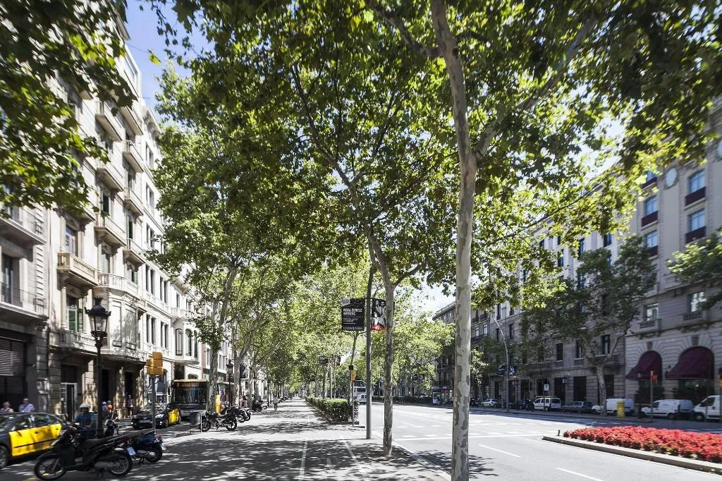 General view, Milton House Gran Vía, Barcelona
