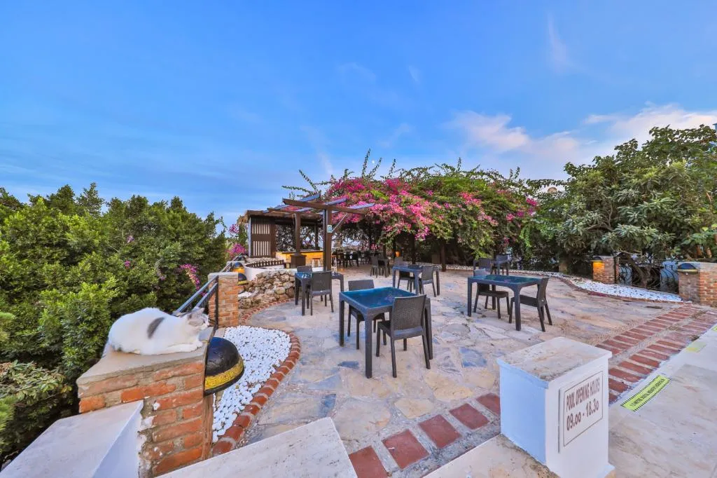 Bar, Mare Garden Hotel, Bodrum