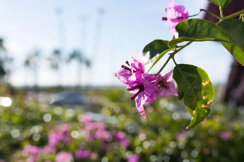 Bar, Masd Mediterraneo, Barcelona