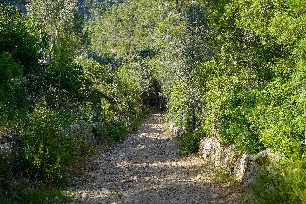 Sports and Entertainment, Hotel Rural S'Olivaret, Majorca
