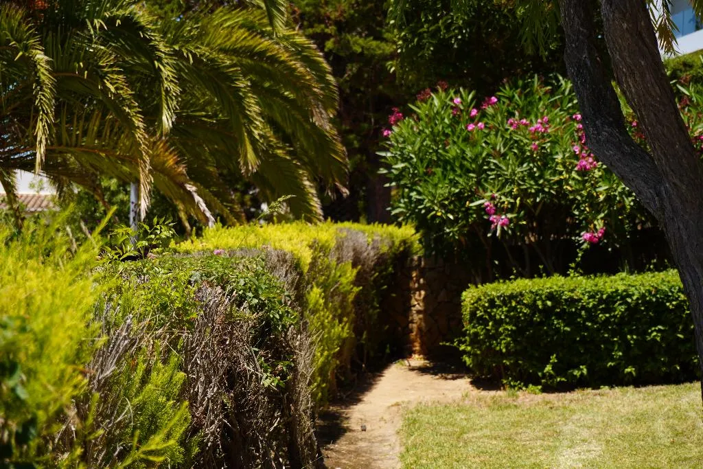 APARTMENT GARDEN VIEW ONE BEDROOM Room, Clube Porto Mós, Algarve