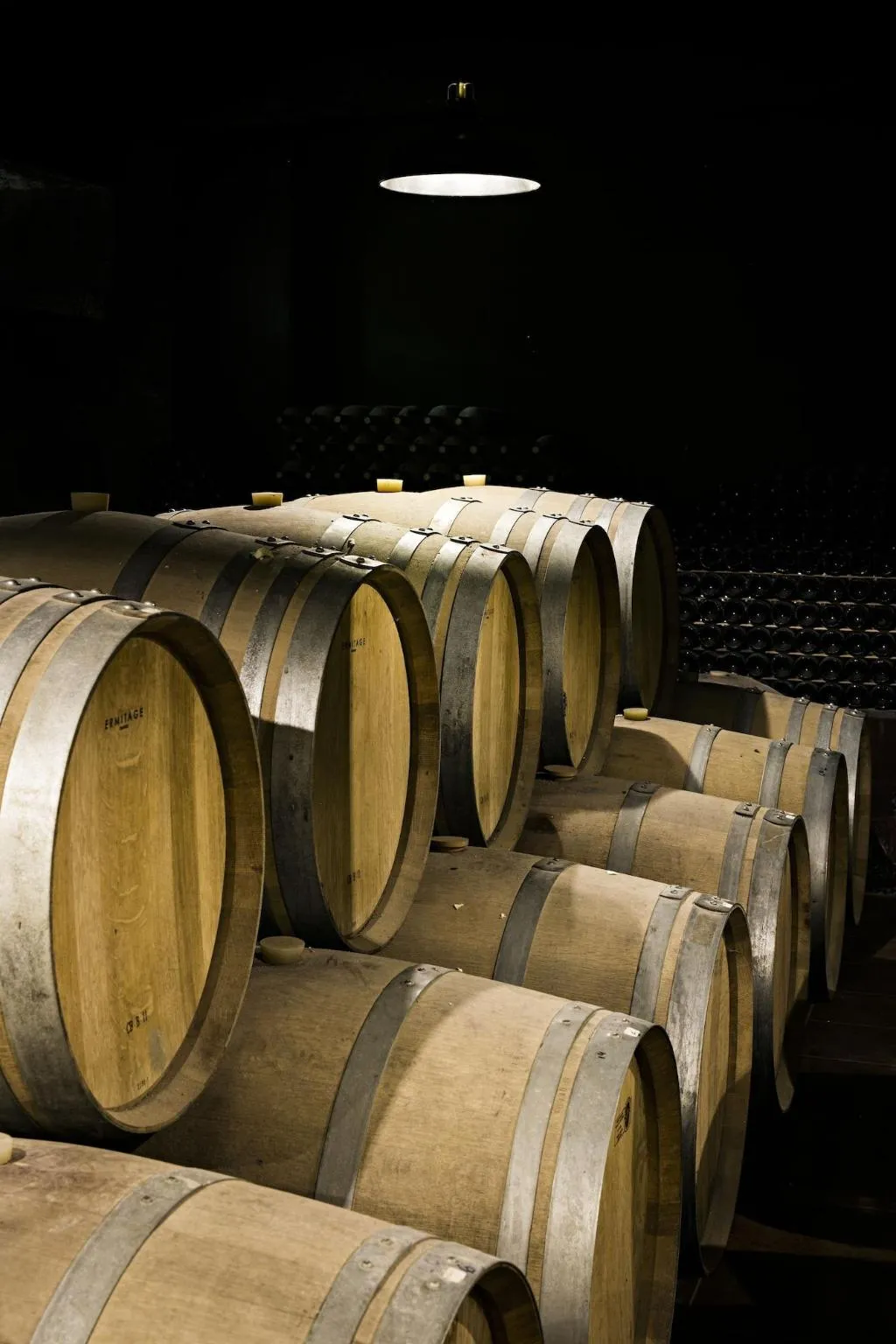 General view, Quinta de S. Bernardo Winery & Farmhouse, Porto