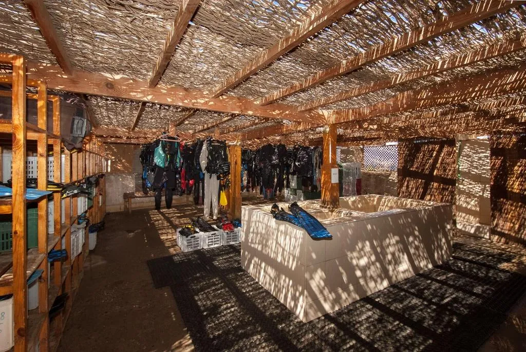 Sports and Entertainment, The Oasis Dive Resort, Red Sea Riviera