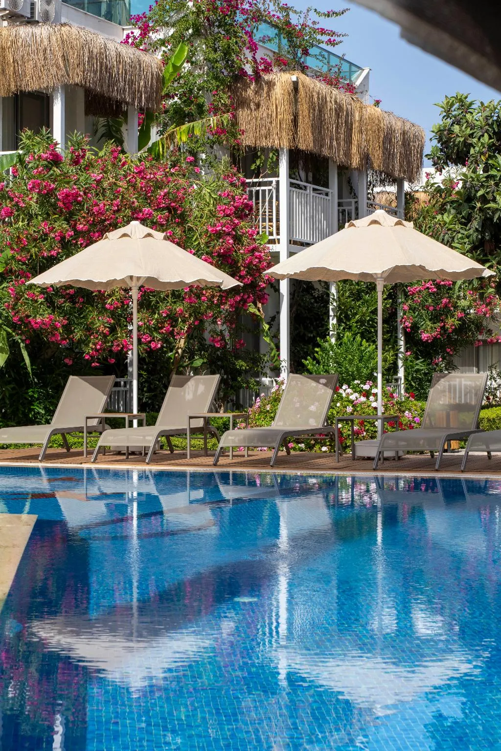Pool, Yalipark Beach Hotel, Bodrum