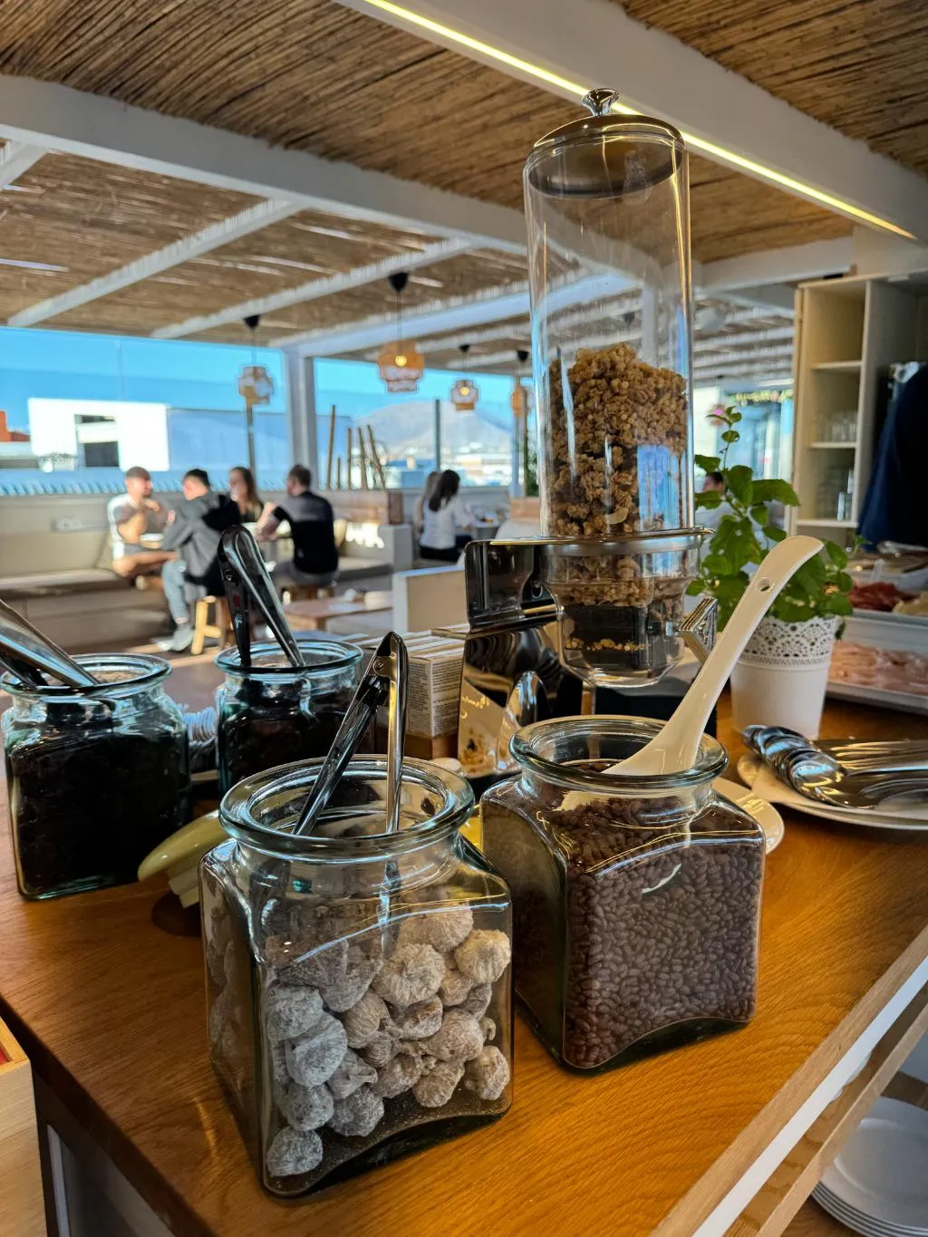 Bar, Bristol Sunset Beach, Fuerteventura