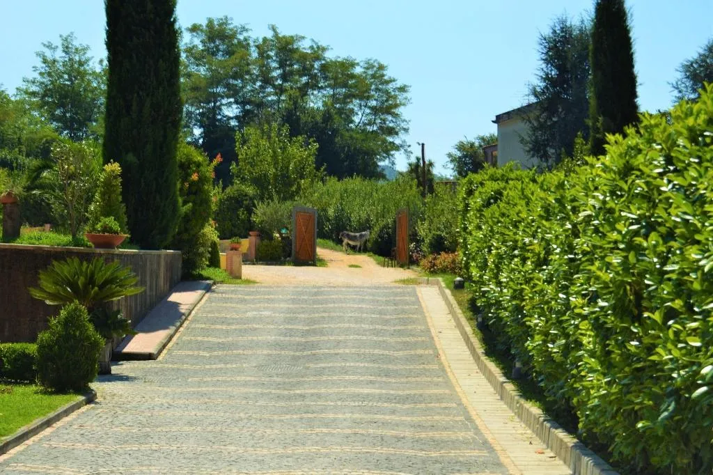 General view, Agriturismo San Martino, Naples