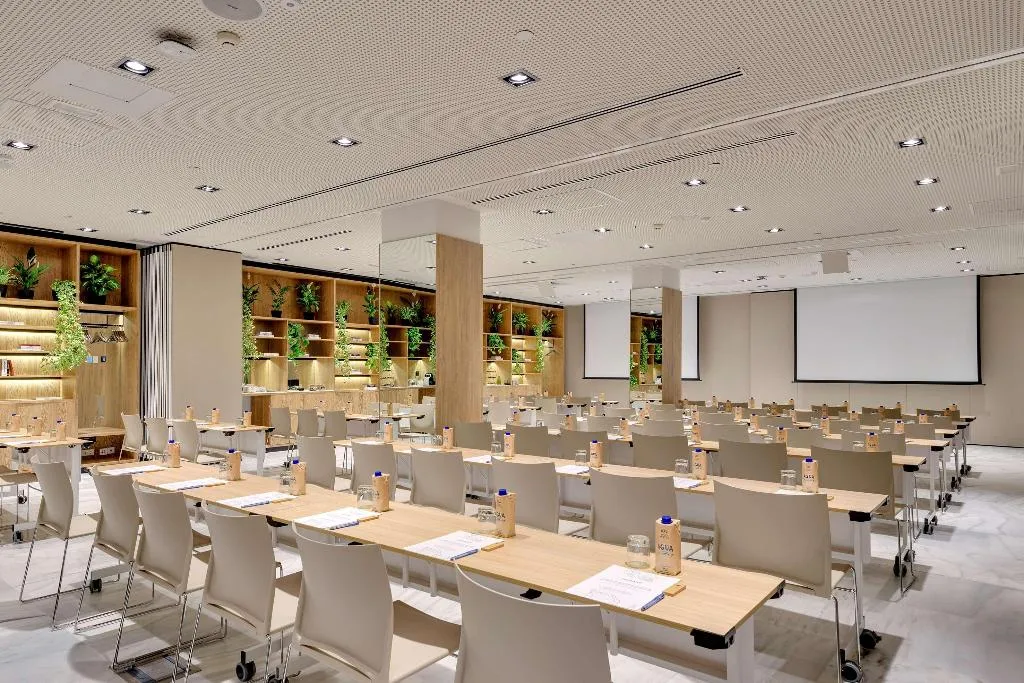 Conferences, Melia Madrid Serrano, Madrid