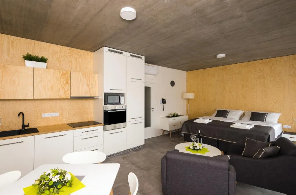 STUDIO BUSINESS Room, Residence Trafick (Self-service check-in), Prague