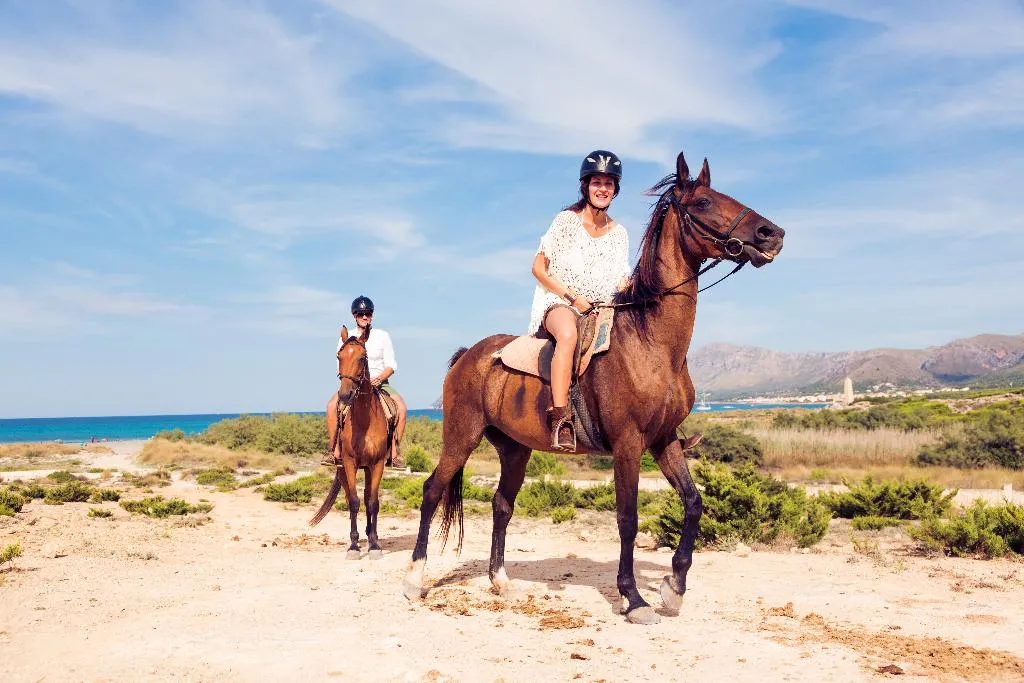 Sports and Entertainment, Bordoy Grand House Algarve, Algarve