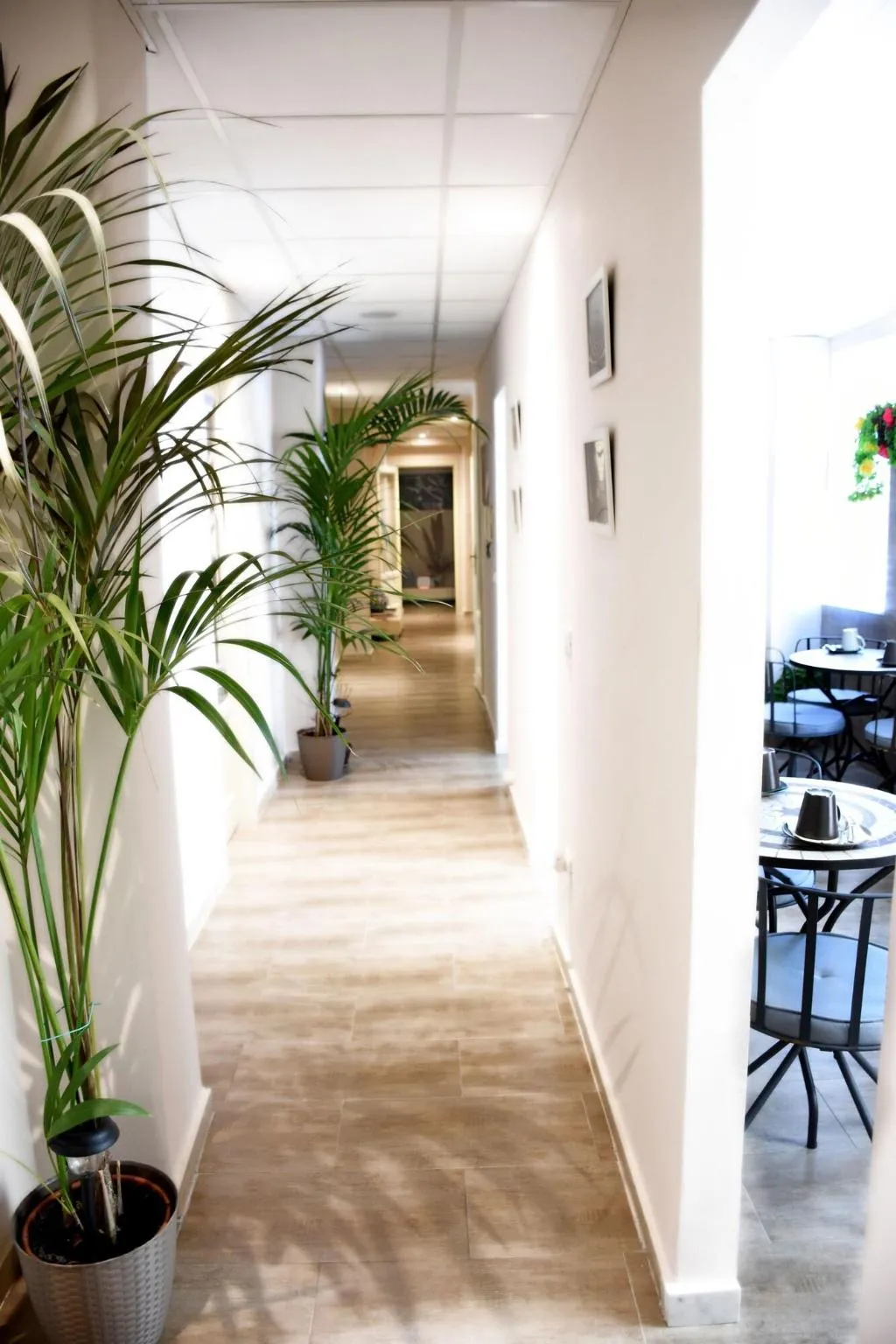 General view, Prestige B&B, Catania