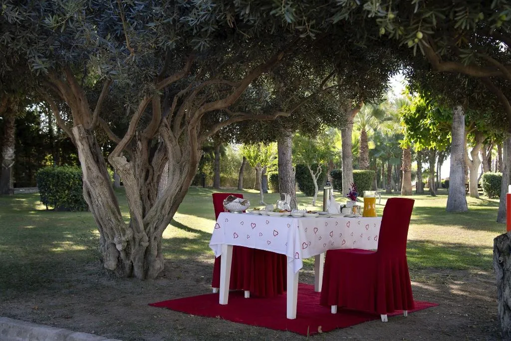 Terrace, Kamelya Fulya Hotel, Antalya