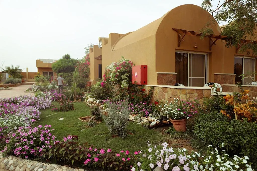 TWIN DELUXE GARDEN VIEW Room, Silver Beach Boutique Hotel, Red Sea Riviera