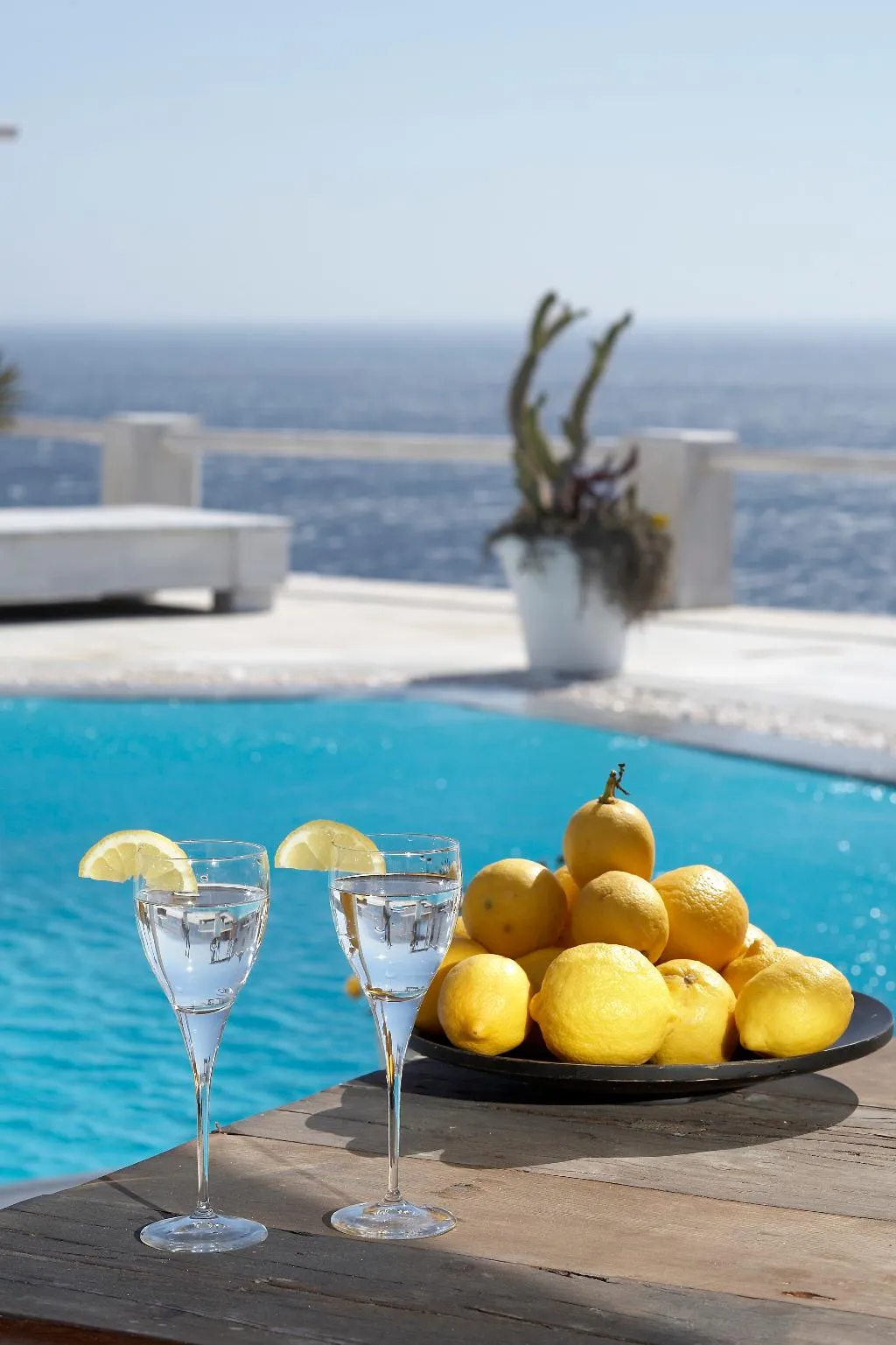 Restaurant, Greco Philia Elia Mykonos, Halkidiki