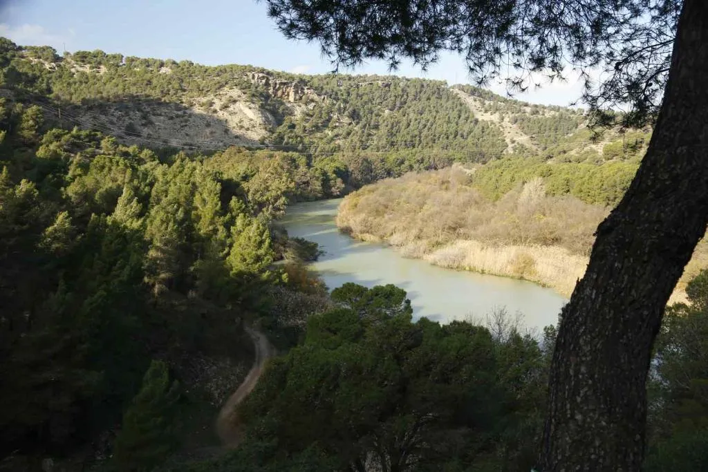 Sports and Entertainment, Hotel Cortijo San Antonio, Costa Del Sol