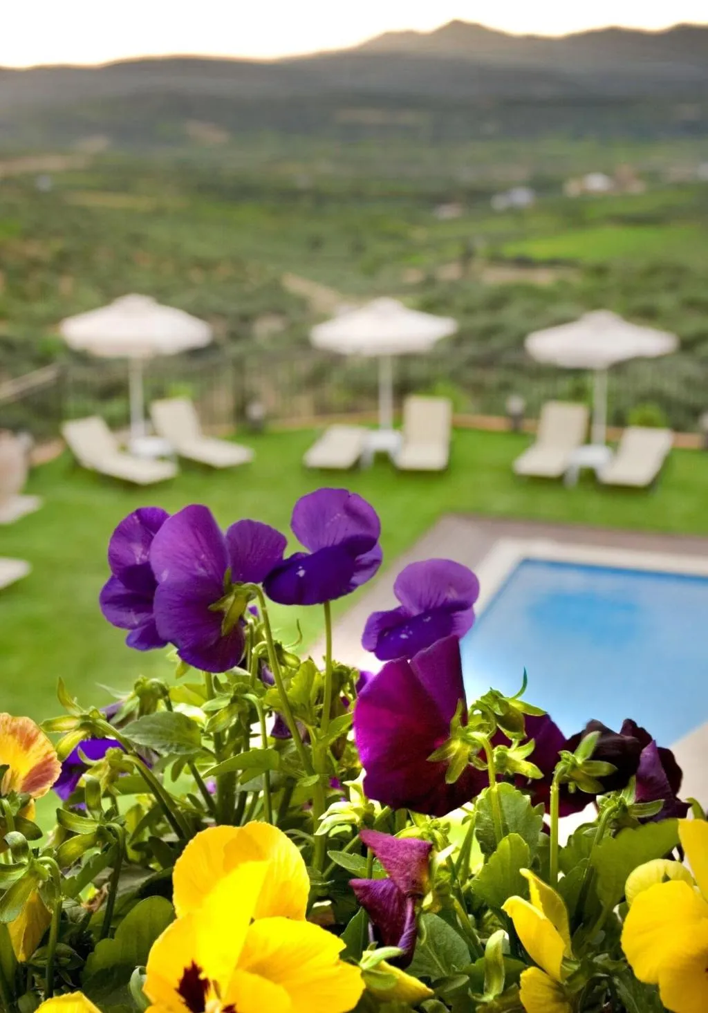General view, Katalagari Country Suites, Crete