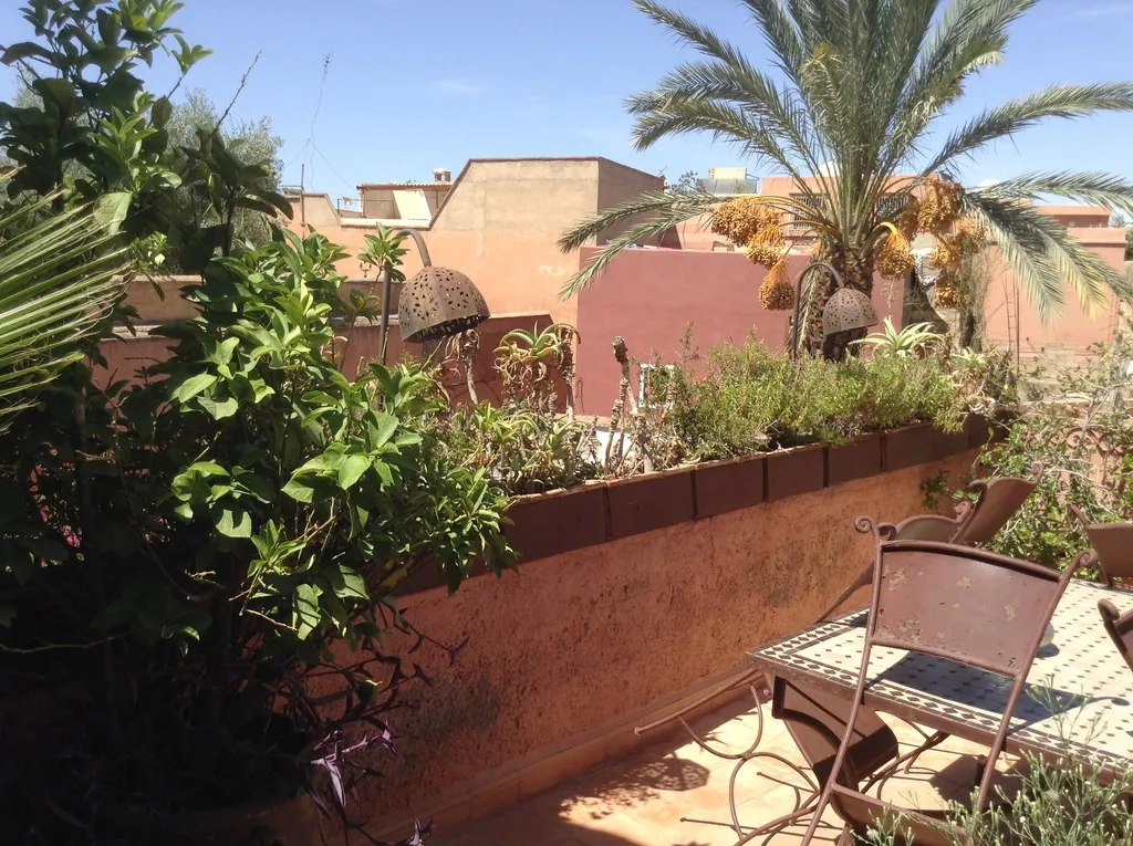 Terrace, Dar Zemrane, Marrakech