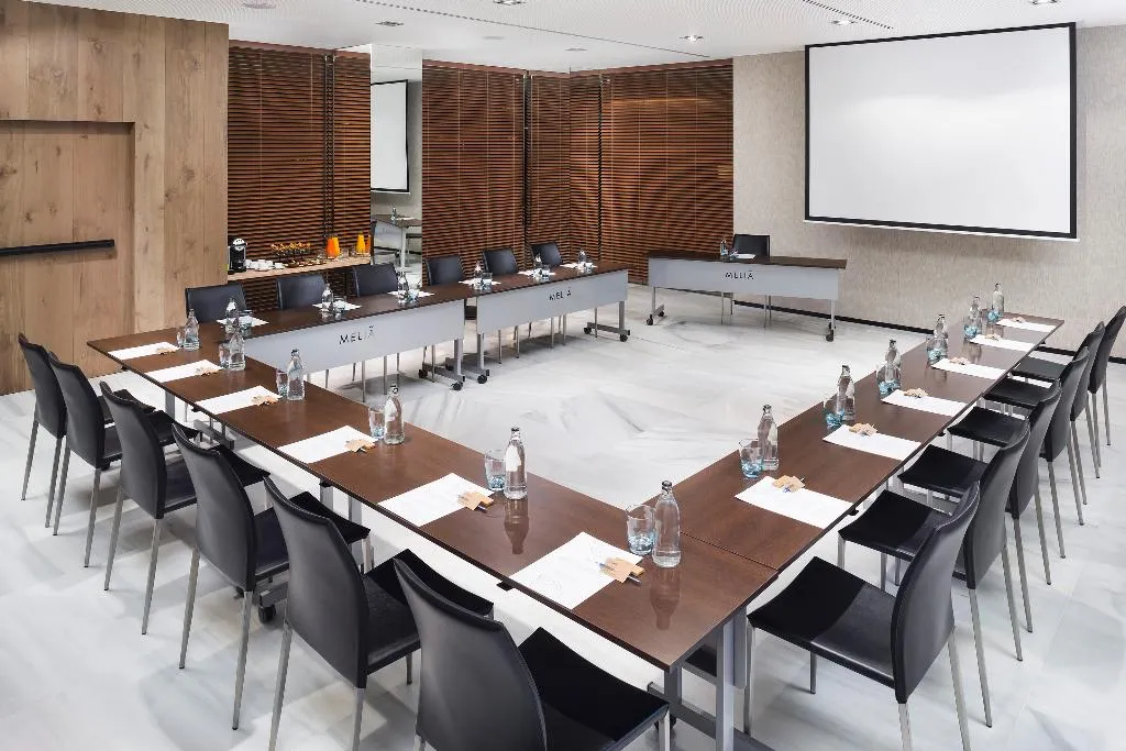 Conferences, Melia Madrid Serrano, Madrid
