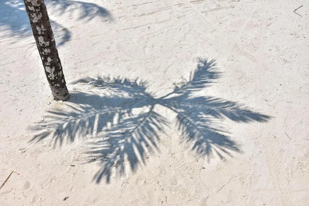 Beach, Amaita Beach Hotel, Cancun Area