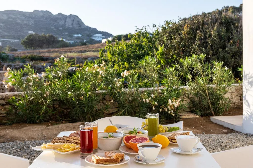 General view, Mykonaki hotel, Mykonos
