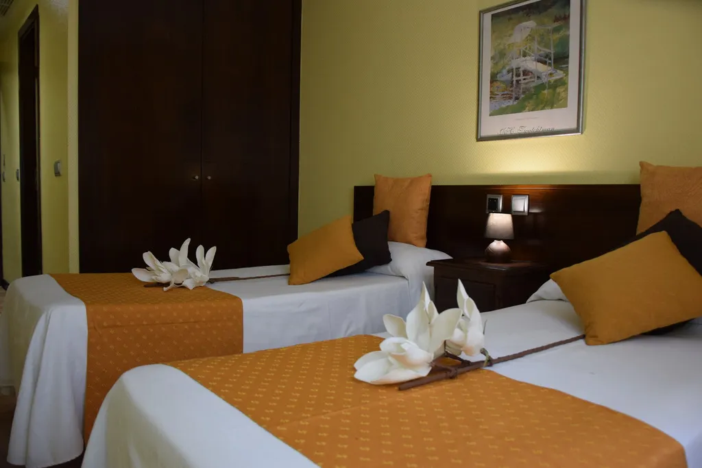 Double or Twin STANDARD Room, Complutense, Madrid