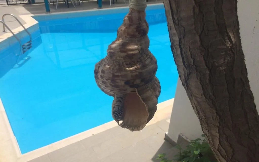 Pool, Renia hotel, Crete