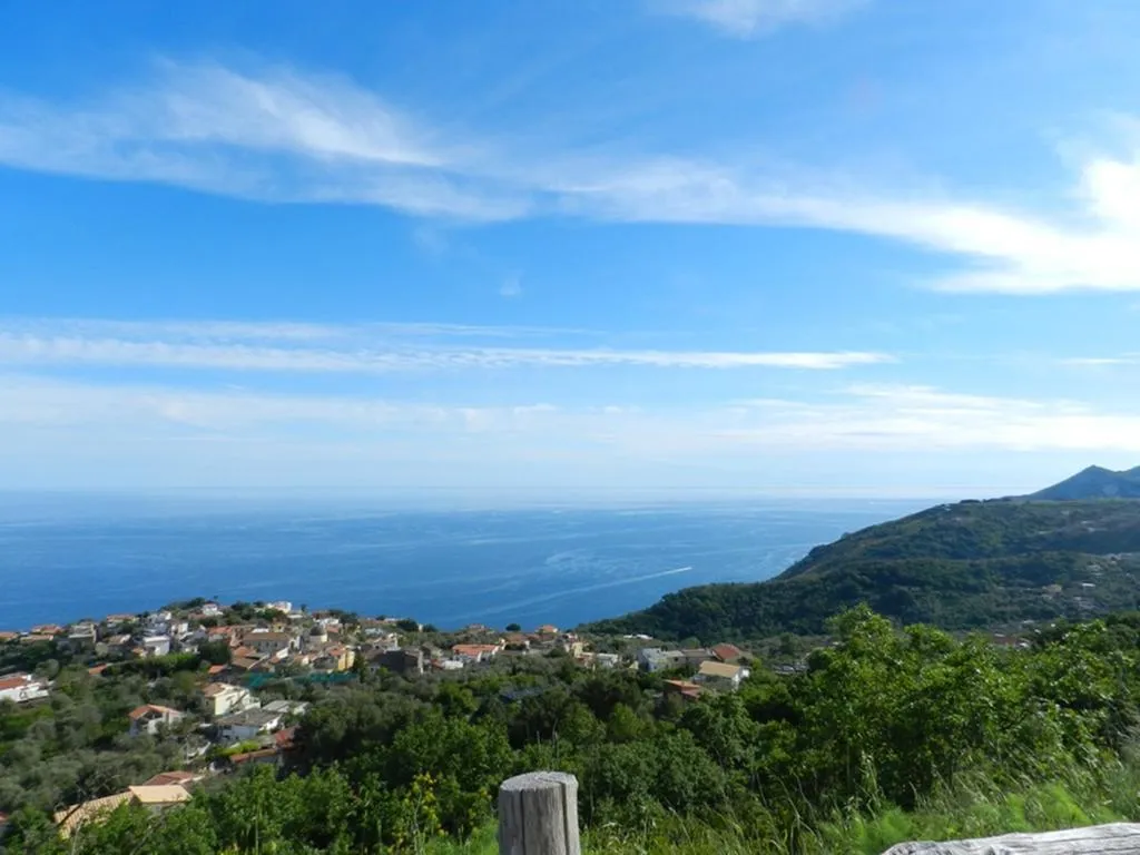 General view, Azienda Agricola Fattoria Terranov, Naples