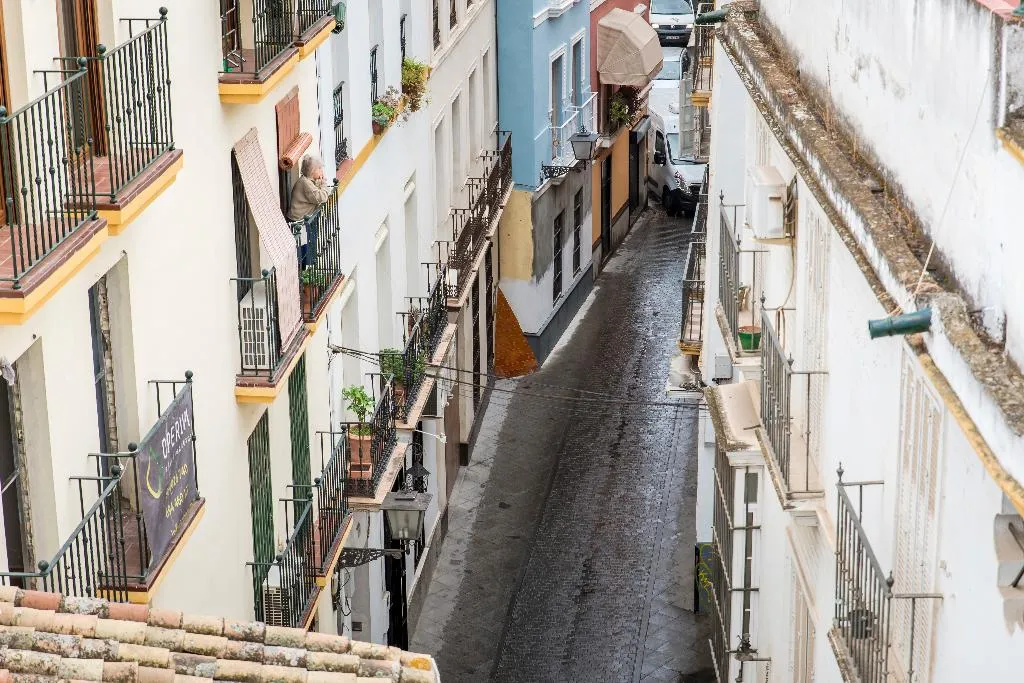 Terrace, Petit Palace Marques Santa Ana, Seville