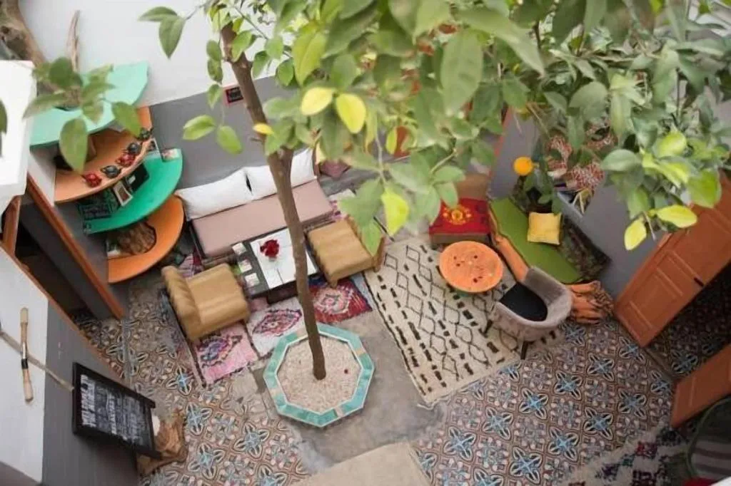 Terrace, Kaktus Hostel, Marrakech