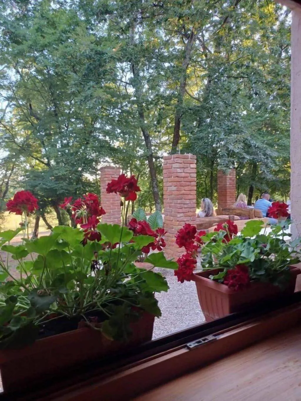 Restaurant, Hotel Filipini, Istria