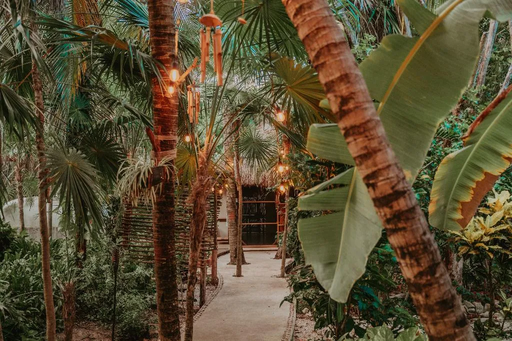 Sports and Entertainment, Petit Lafitte, Playa Del Carmen