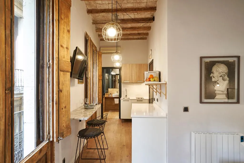 APARTMENT CAPACITY 1 Room, AinB Gothic-Jaume I Apartments, Barcelona