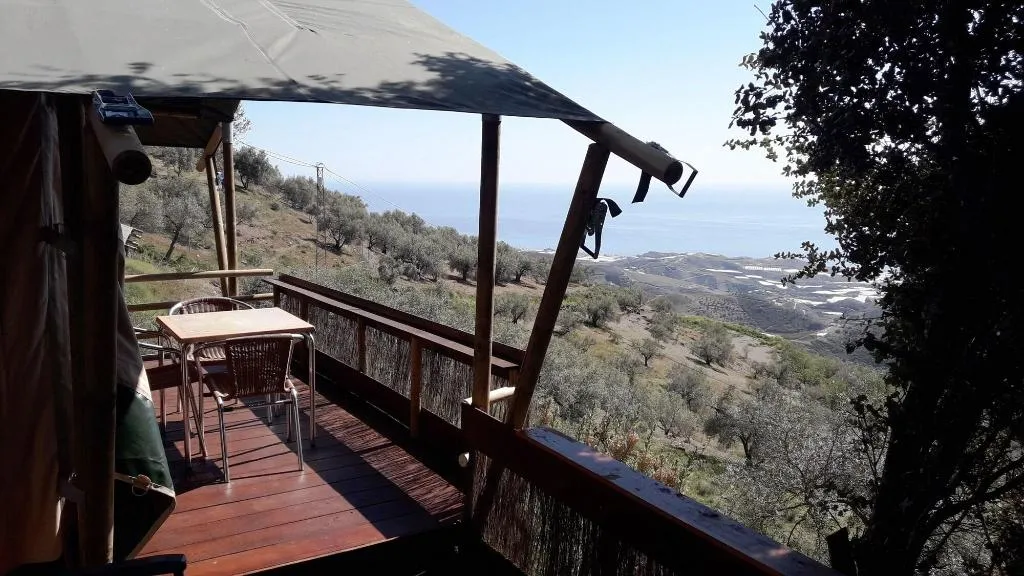 Room, Campo Agave - Boutique B&B en Glamping, Costa Del Sol