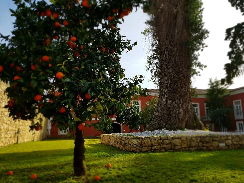 General view, Palacio Sao Silvestre – Boutique Hotel, Porto