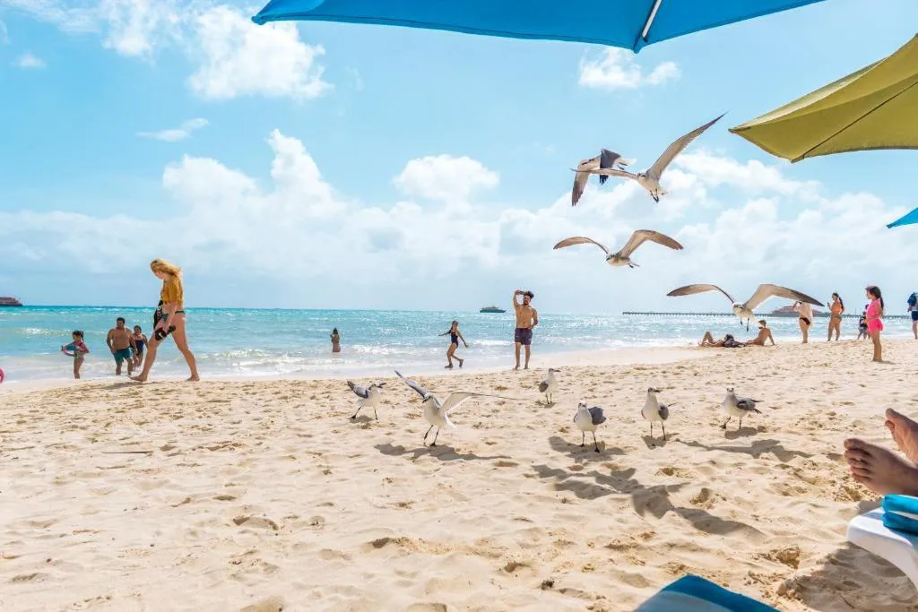 Beach, Playa Maya by MIJ, Playa Del Carmen
