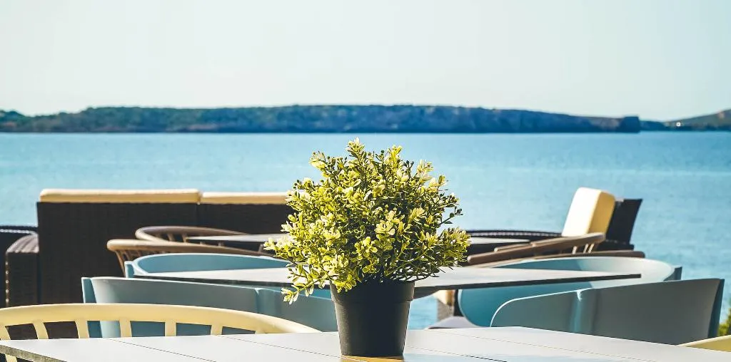 Bar, Comitas Tramontana Park, Menorca