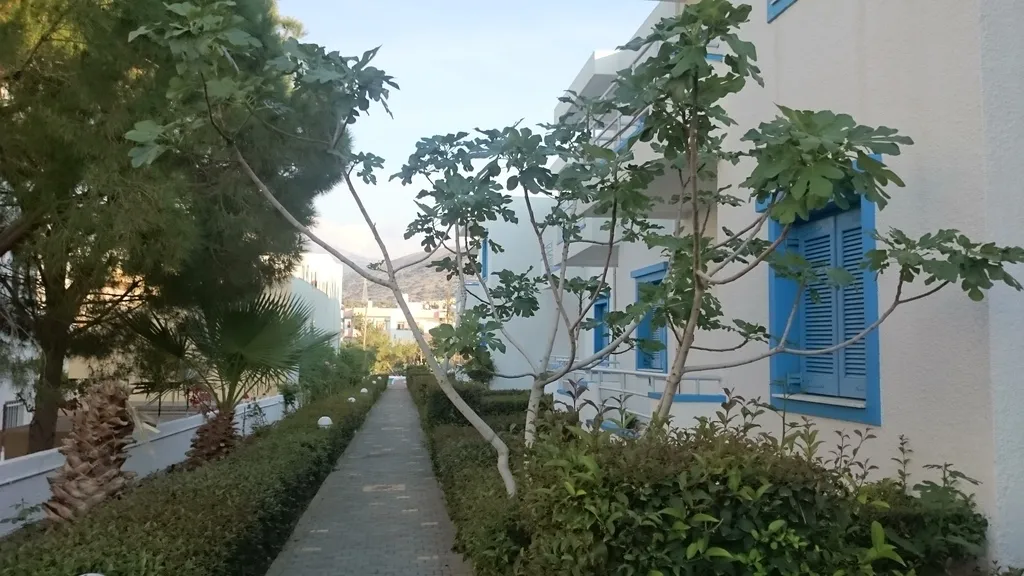 General view, Amazones Villas Apartments, Crete