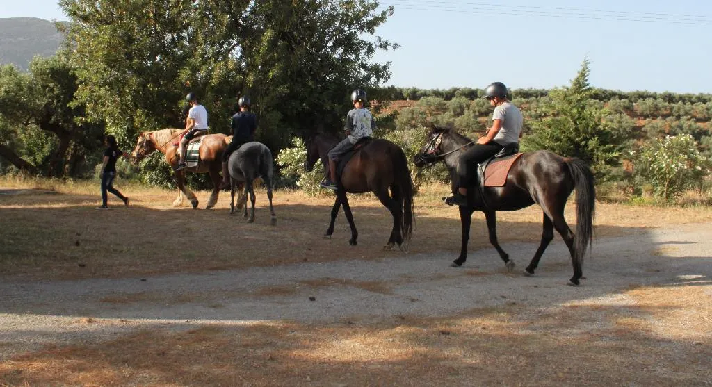 Sports and Entertainment, Kinsterna Hotel, Kalamata