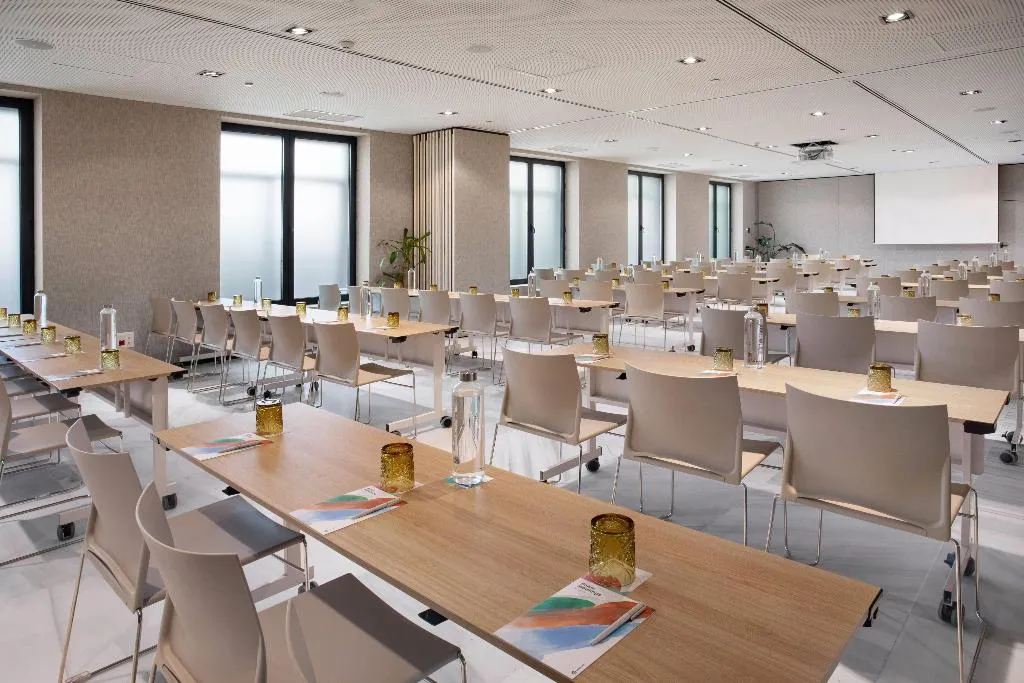 Conferences, Melia Madrid Serrano, Madrid